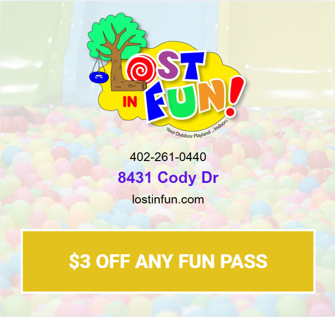 Lost in Fun
