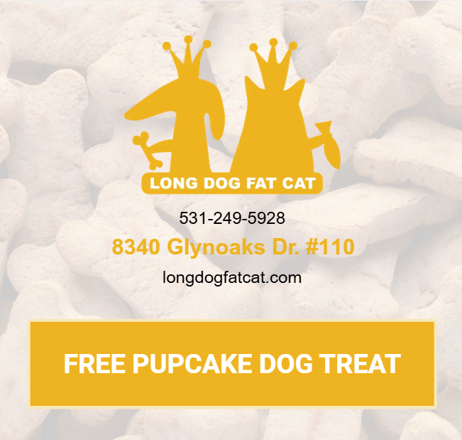 Long Dog Fat Cat
