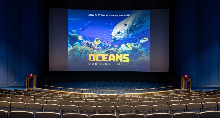 Simons Theatre