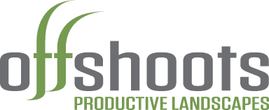 Offshoots, Inc. logo