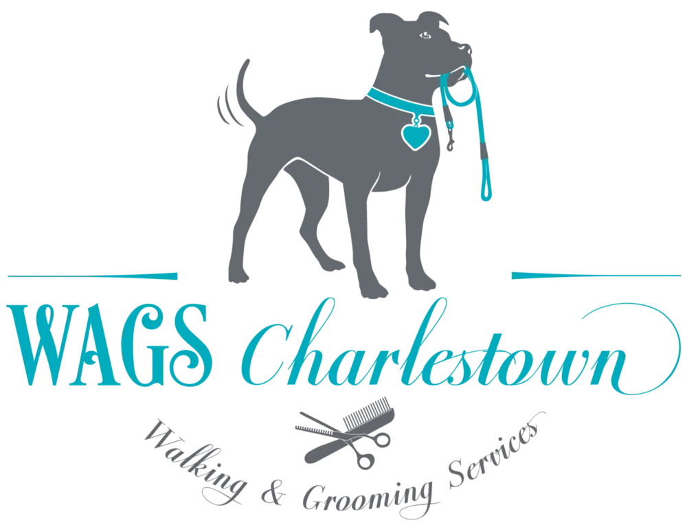Wags Charlestown