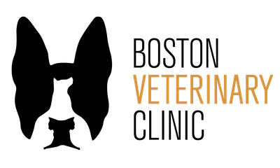 Boston Veterinary Clinic logo
