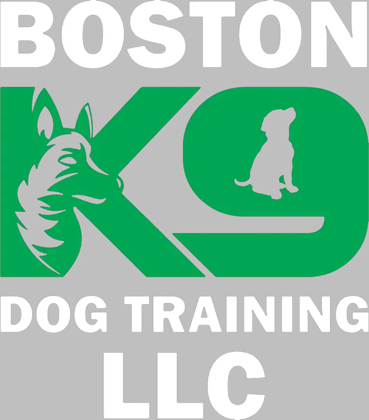 Boston K9 Dog Training
