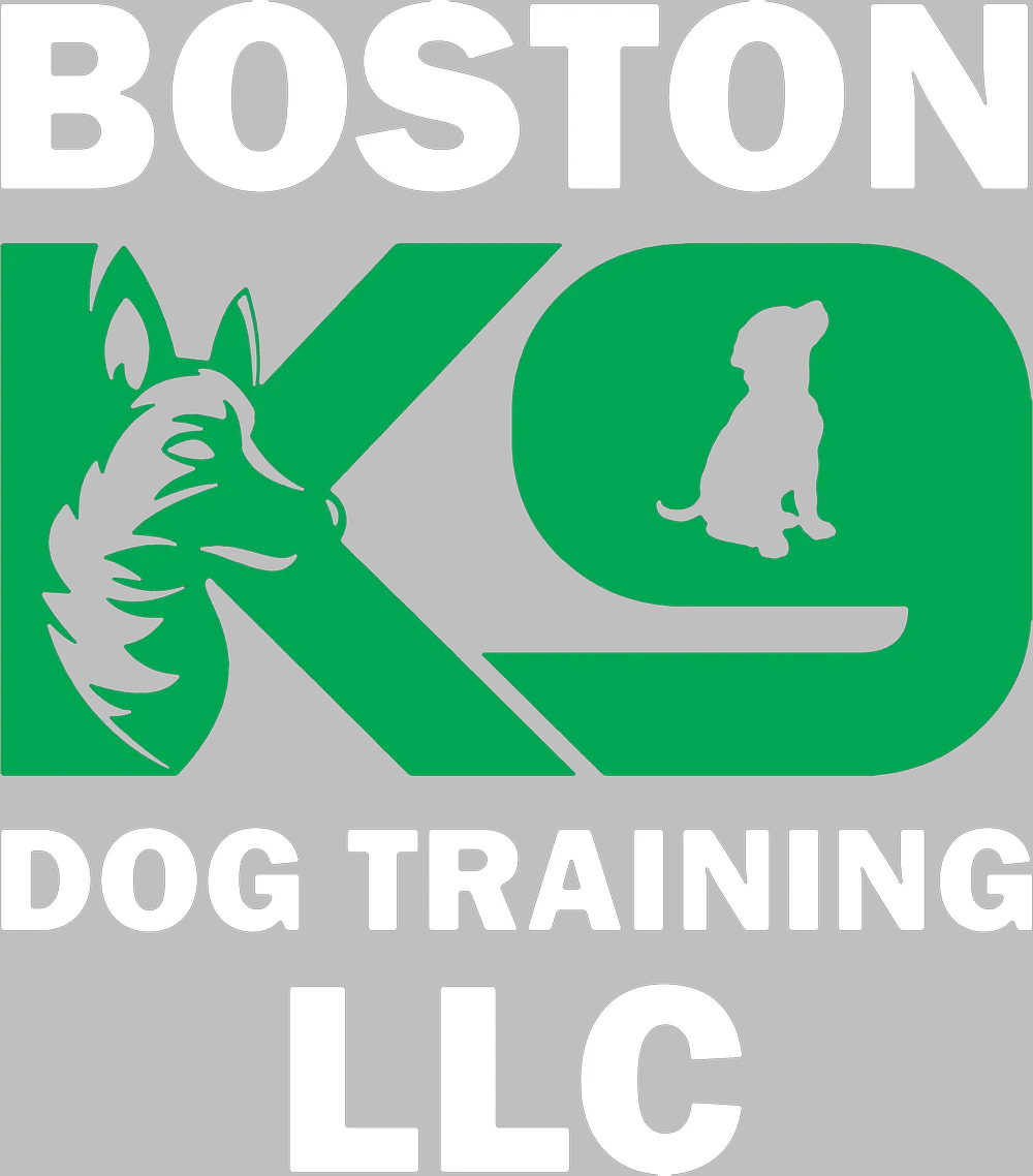 Boston K9 Dog Training