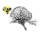A Clover and One Bee logo