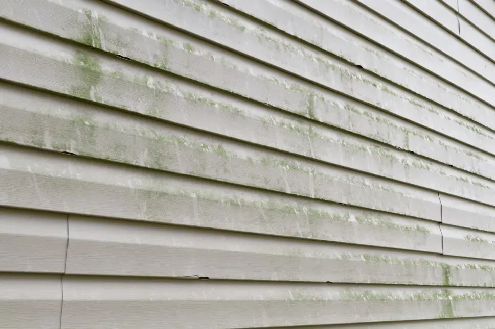 SurfacePro Pressure Washing