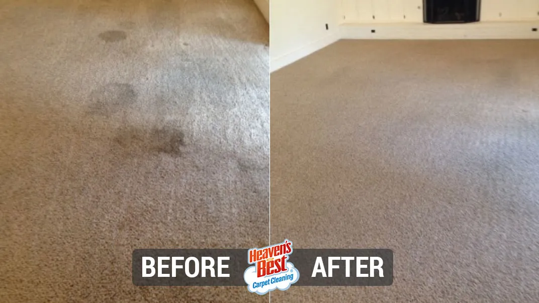 Heaven's Best Carpet Cleaning Las Vegas NV