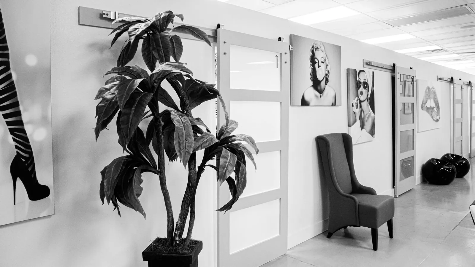 The Beautiful Studio