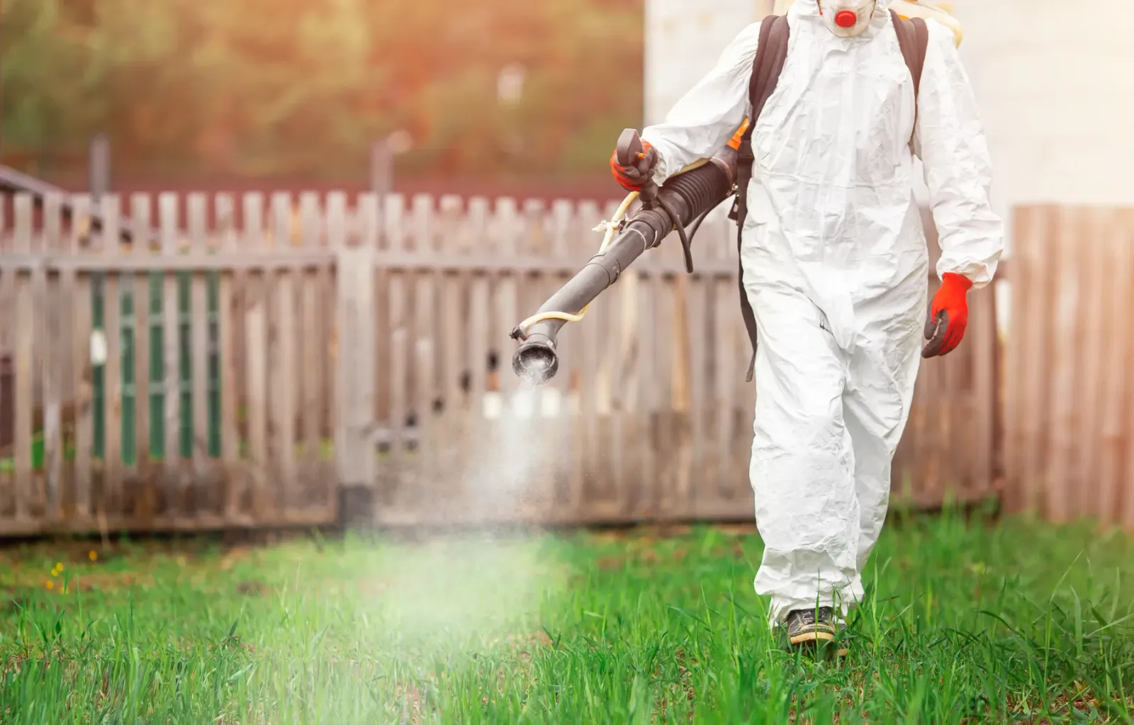 Team Pest USA