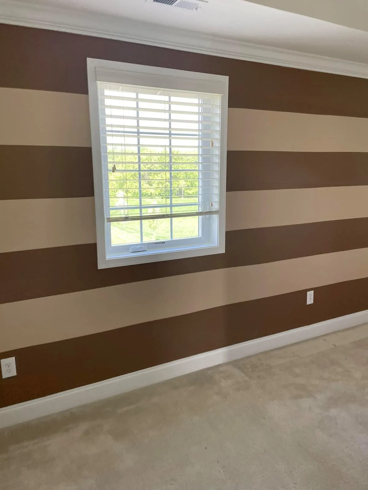 TD Painting Handyman