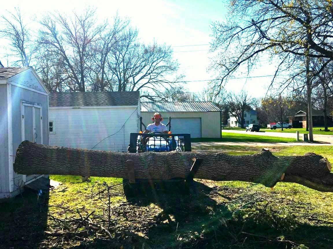 Tyler's Tree Service