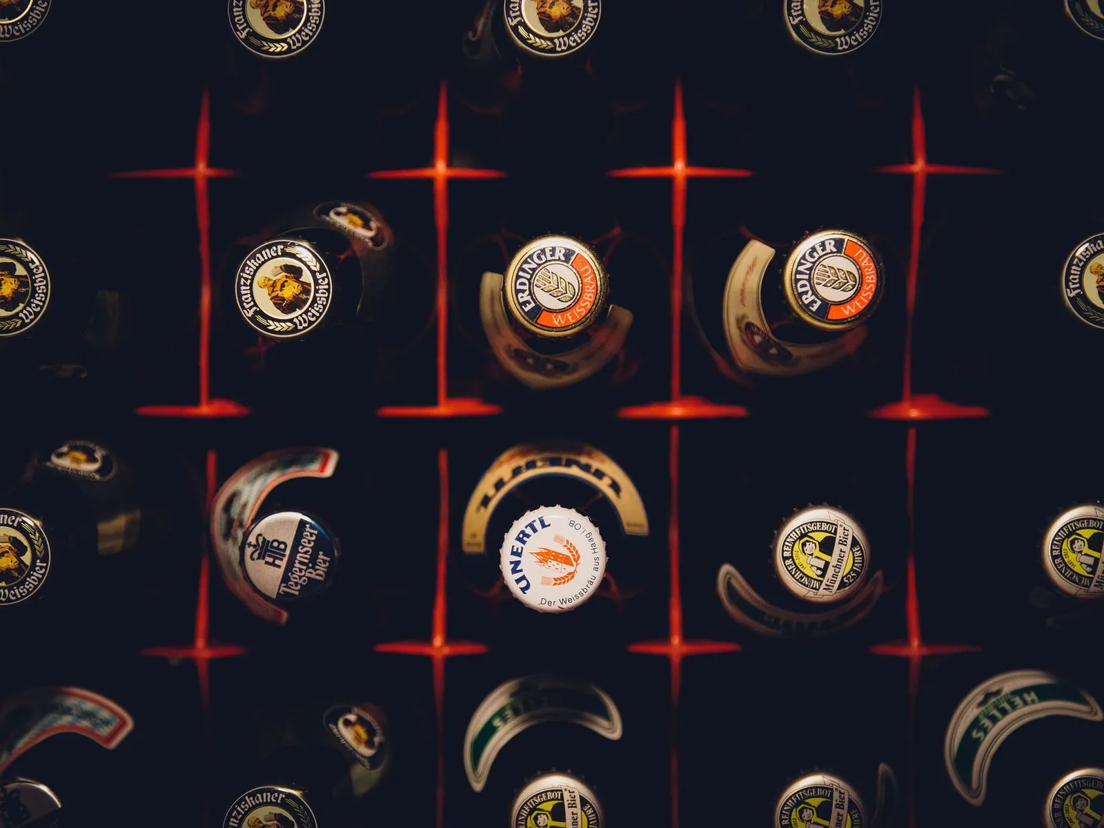 Shoeless Brewing Company / Grape & Grains