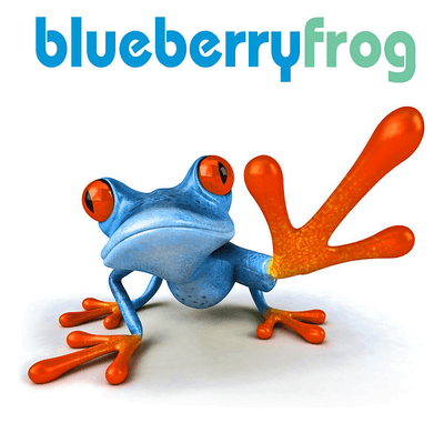 Blueberryfrog logo