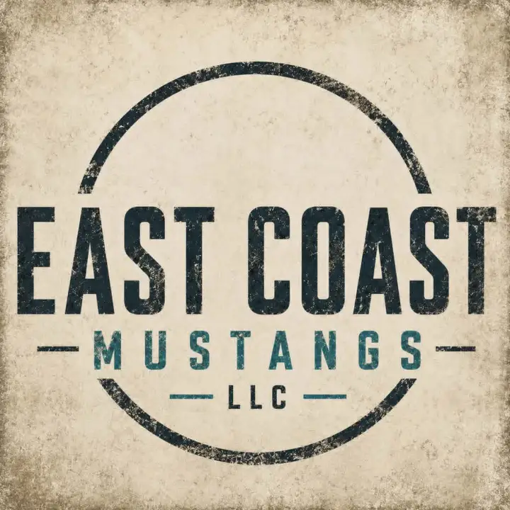 EAST COAST MUSTANGS