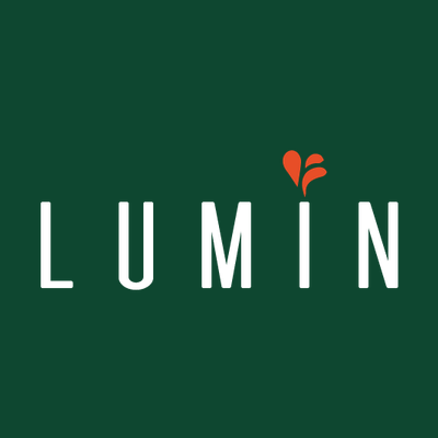LUMIN logo