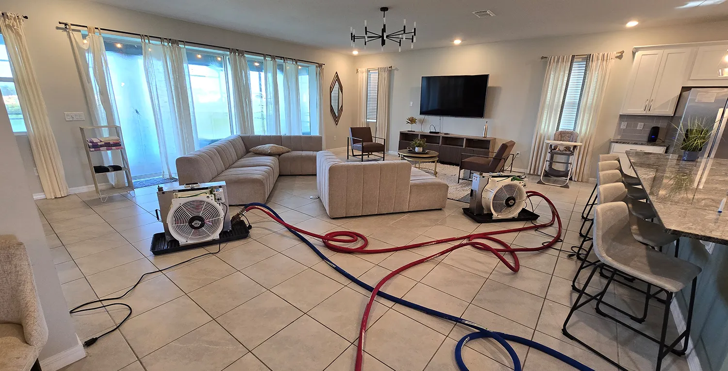 Bed Bug Exterminator