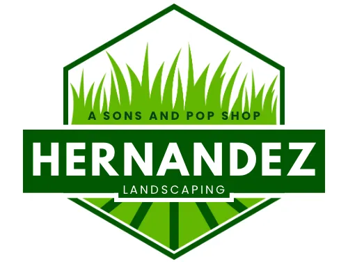 Hernandez Snow Removal and Landscaping Services LLC