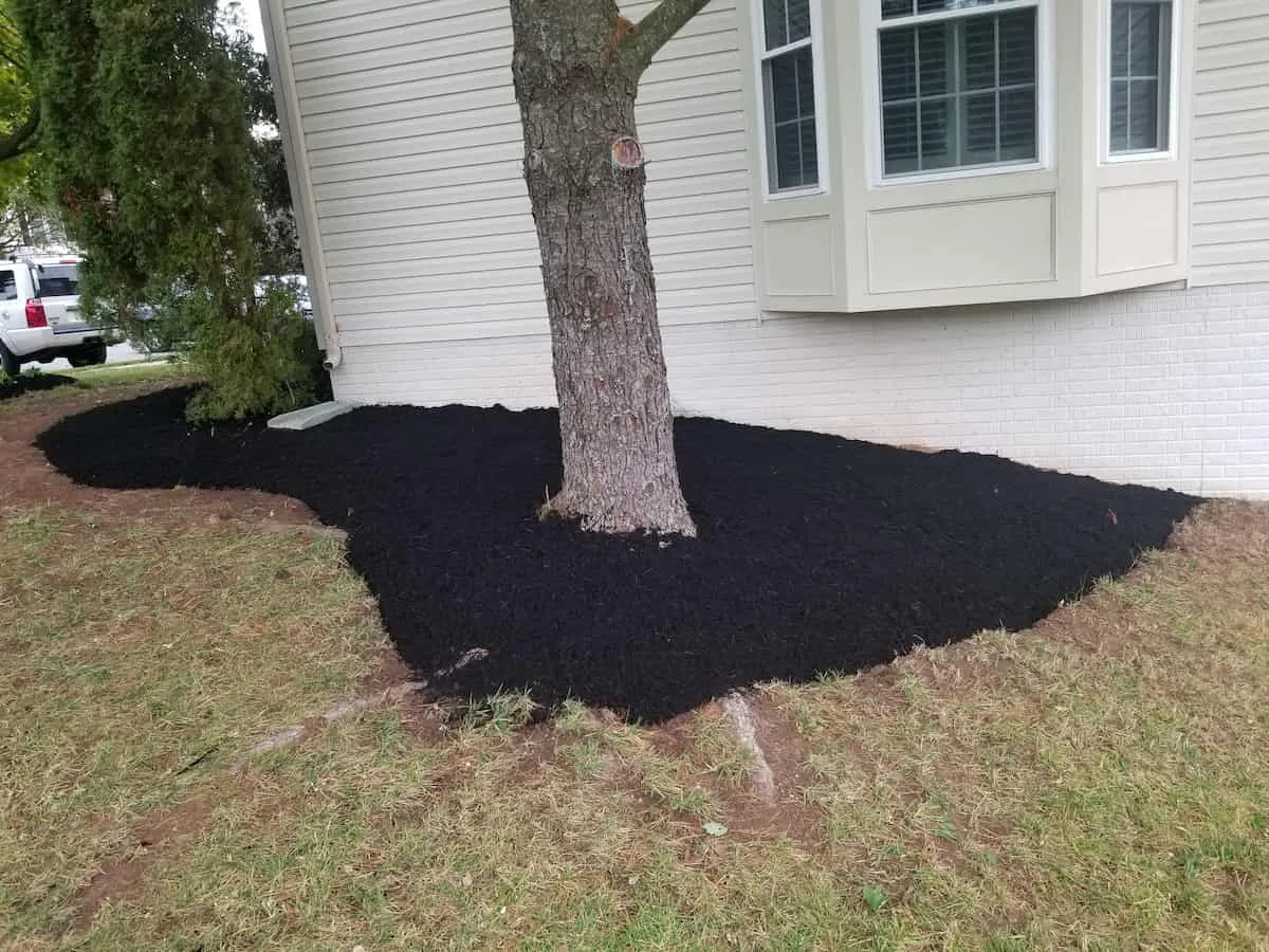 E&C Landscaping