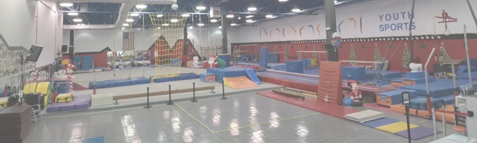 YOUTH SPORTS GYMNASTICS