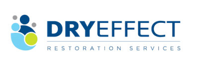 Dry Effect logo