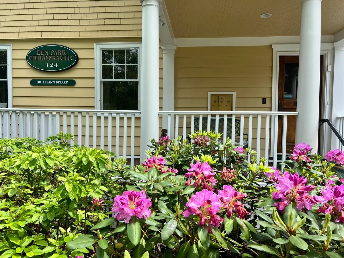 Elm Park Chiropractic
