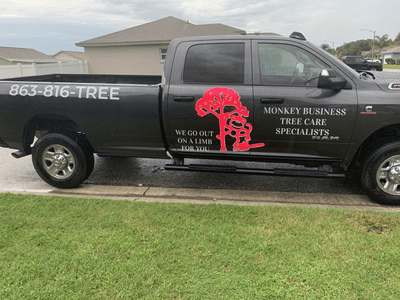 Monkey Business Tree Care Specialists logo