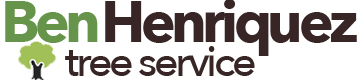 Ben Henriquez Tree Work logo