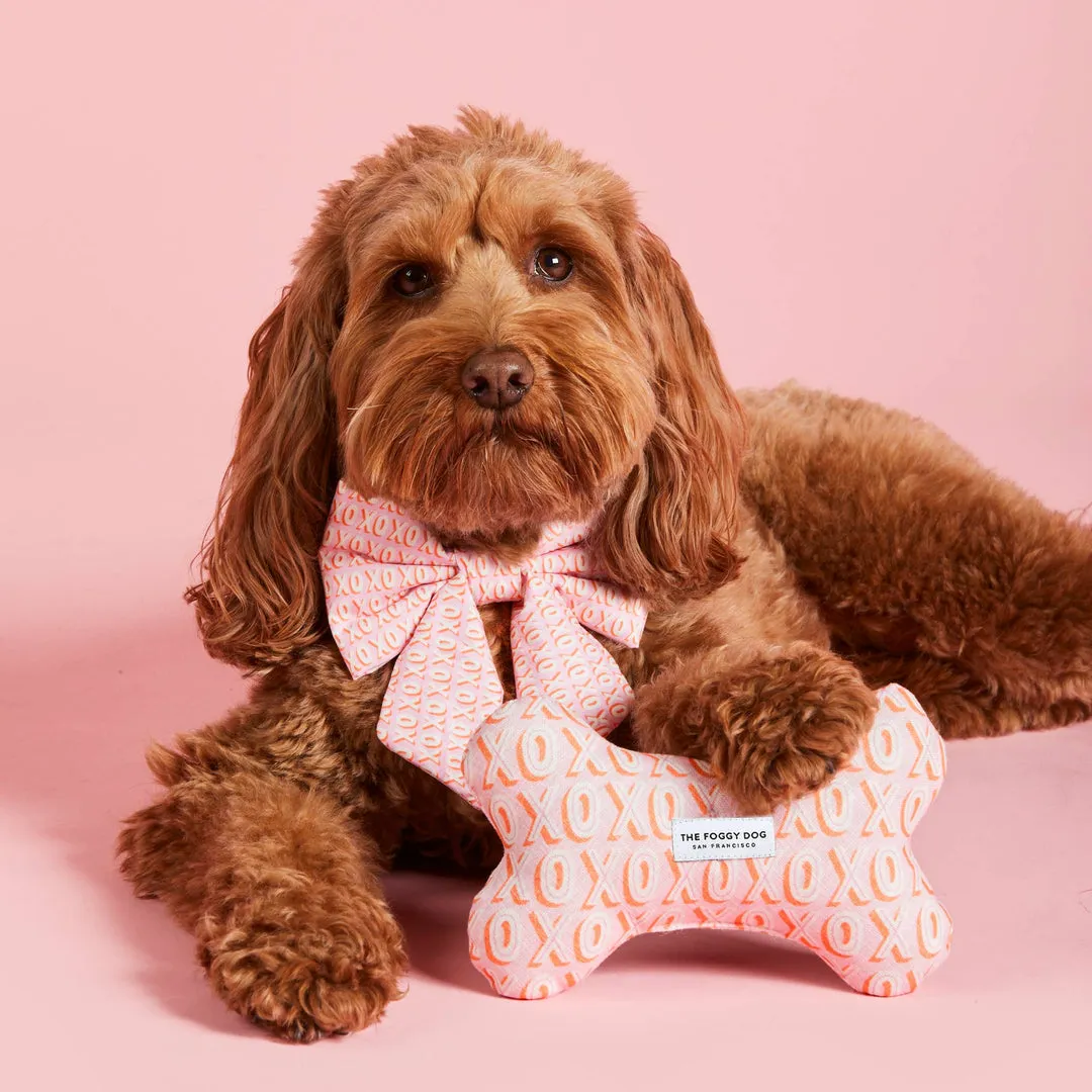 Elevate: Pet Boutique