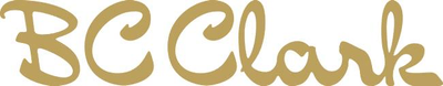 Vast logo