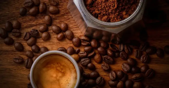 Leap Coffee Roasters