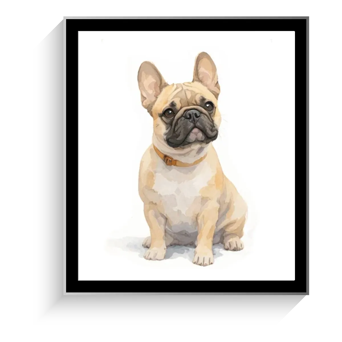 Ranchwood Veterinary Hospital