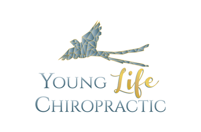 Young Life Chiropractic logo