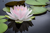 East Bay Mediation Services logo