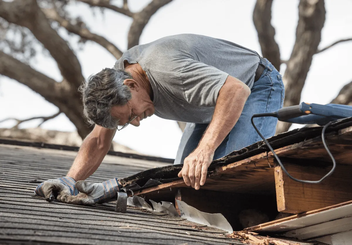 Zulauf Construction