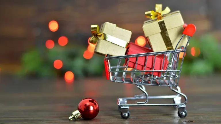 Evergreen Tax Services & Accounting