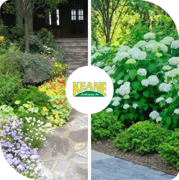 Keane Landscaping