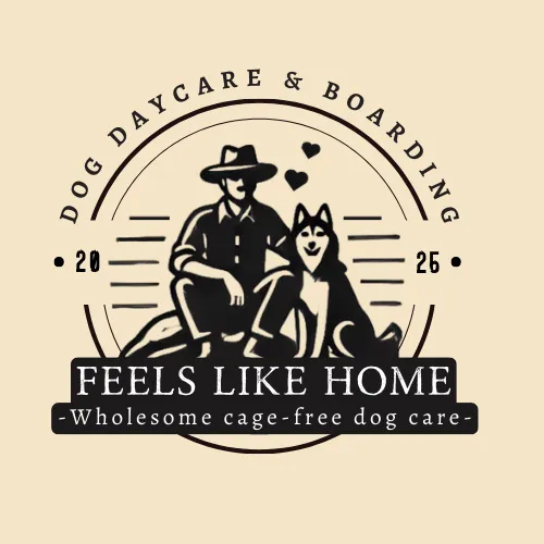 Feels Like Home: Dog Care
