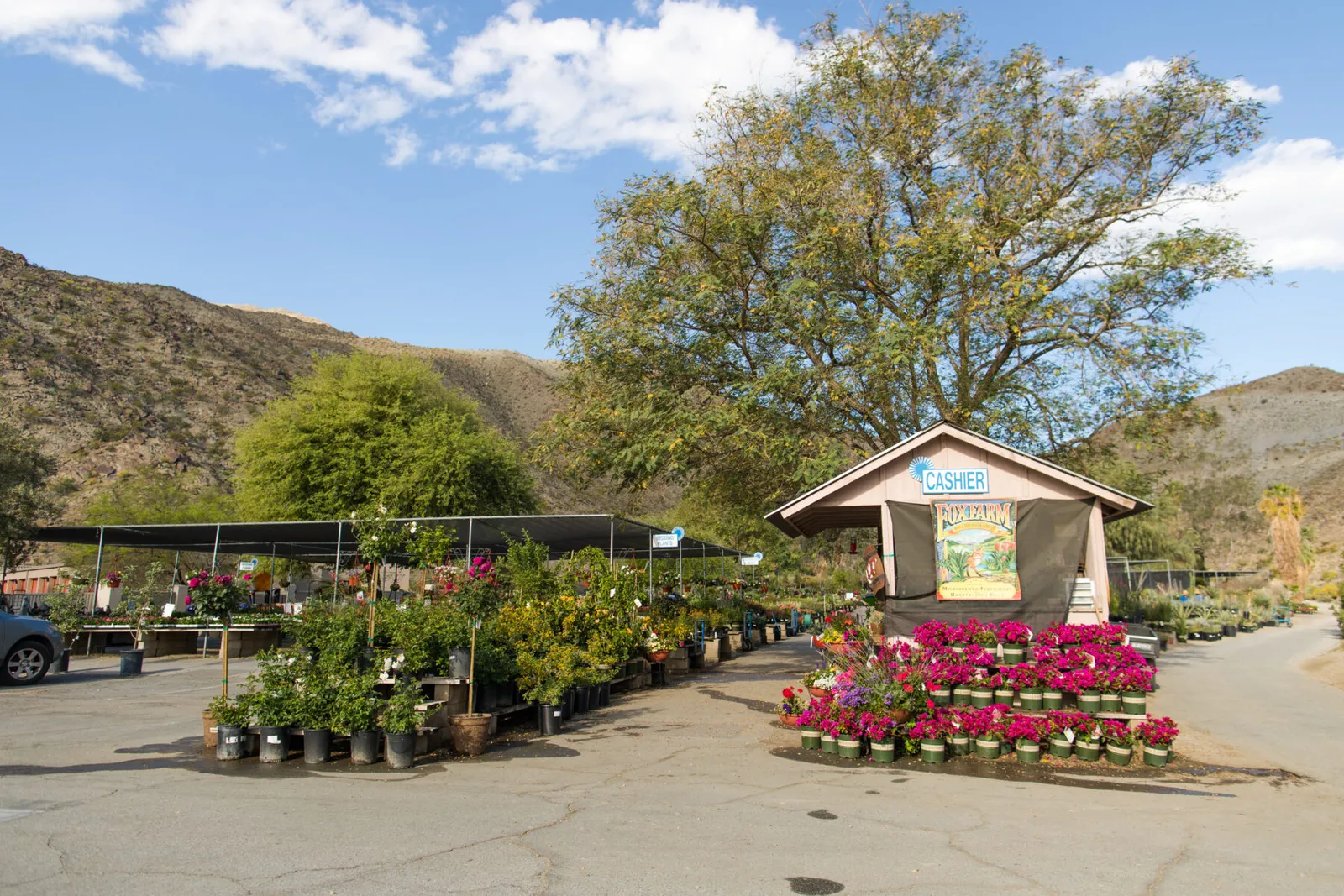 Mollers Garden Center