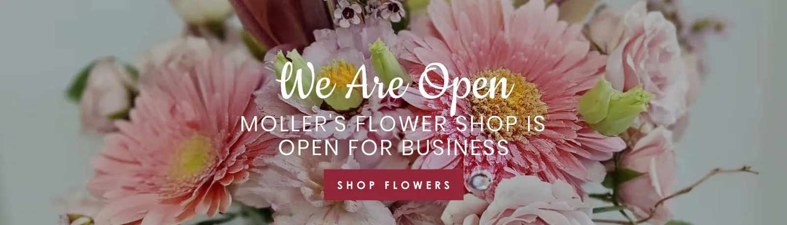 Moller's Flower Shop