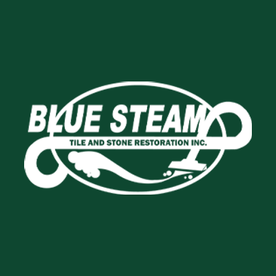 Blue Steam logo