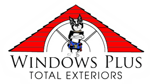 Windows Plus logo