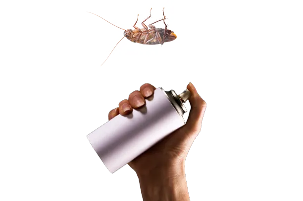 Abilene Termite & Pest Control