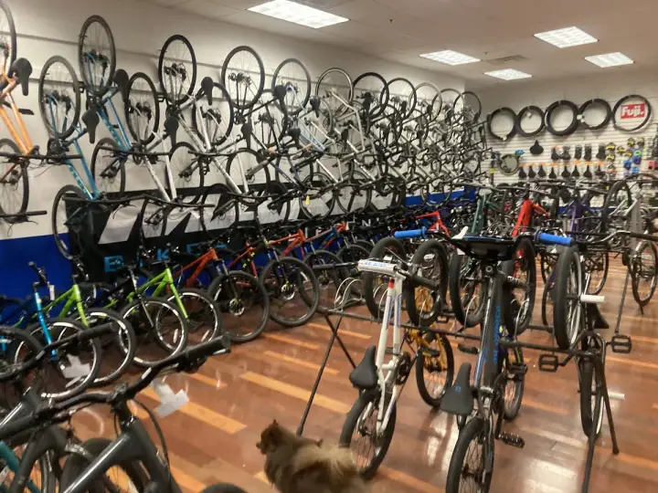 The Bike Shop