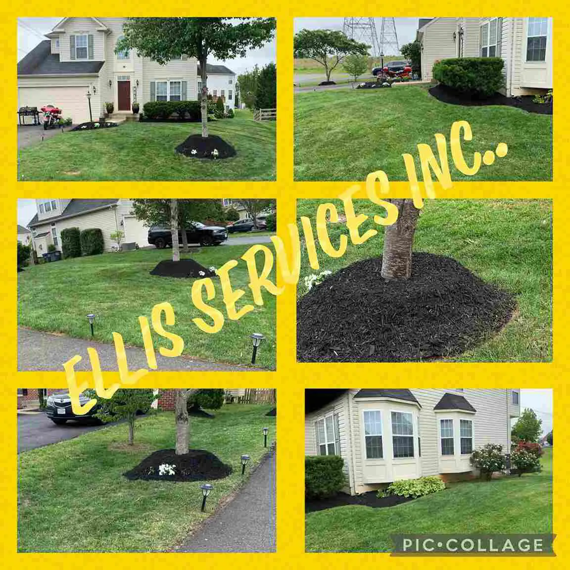 Ellis Services Inc