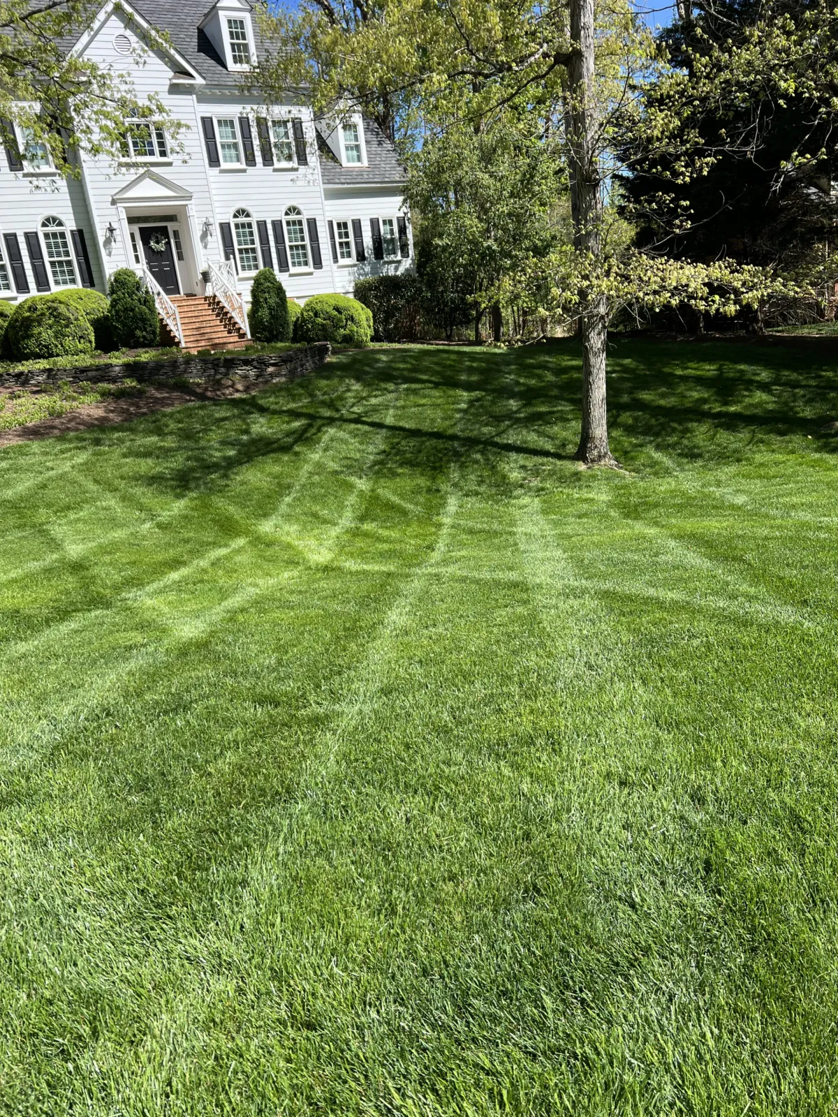 Sandoval Landscaping