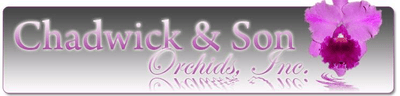 Chadwick & Son Orchids logo
