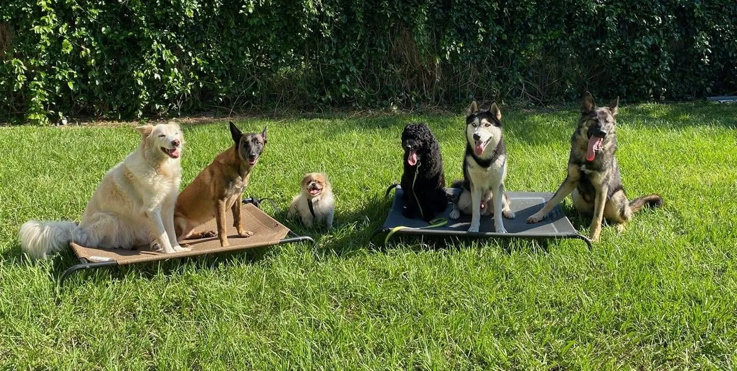 K9 Training Center LLC