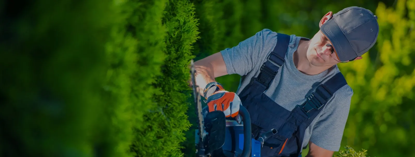 Solstice Landscaping