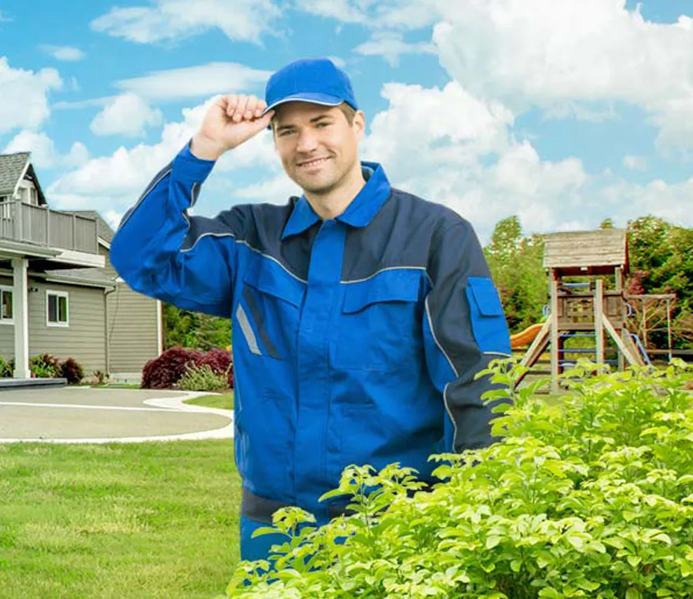 KnockOut Pest Control