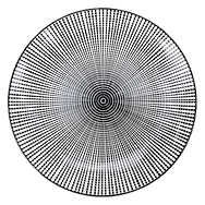 Ayla-Zeimer logo